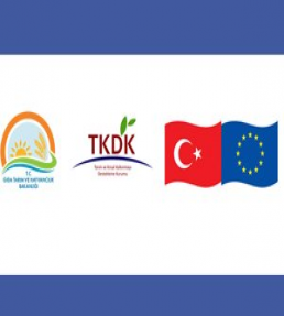 Kapsam Danışmanlık