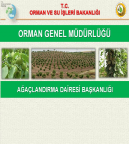 Kapsam Danışmanlık